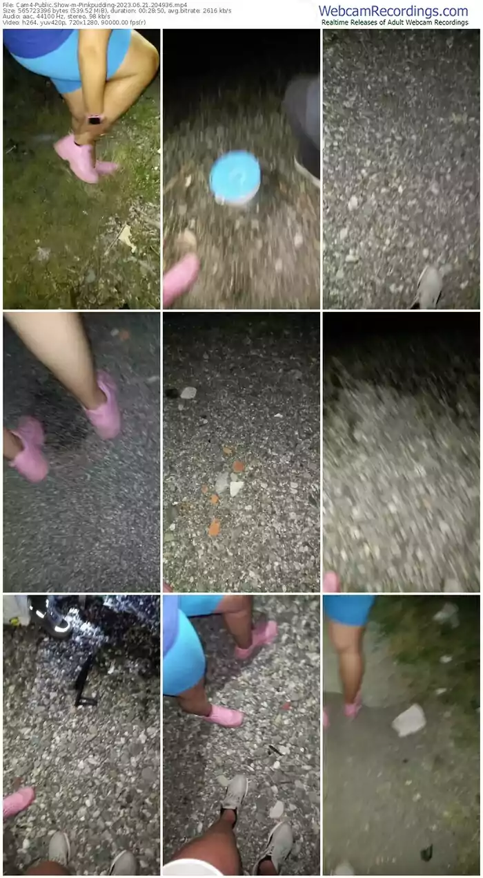 cam4-pinkpudding-06-21-2023-20-49-36