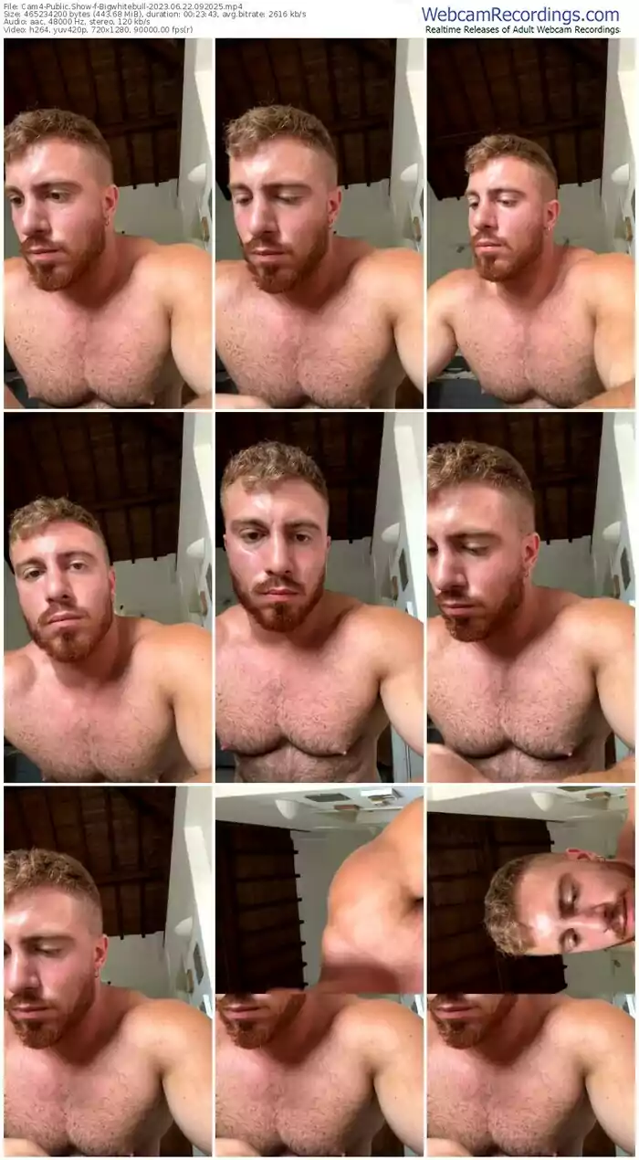 cam4-bigwhitebull-06-22-2023-09-20-25