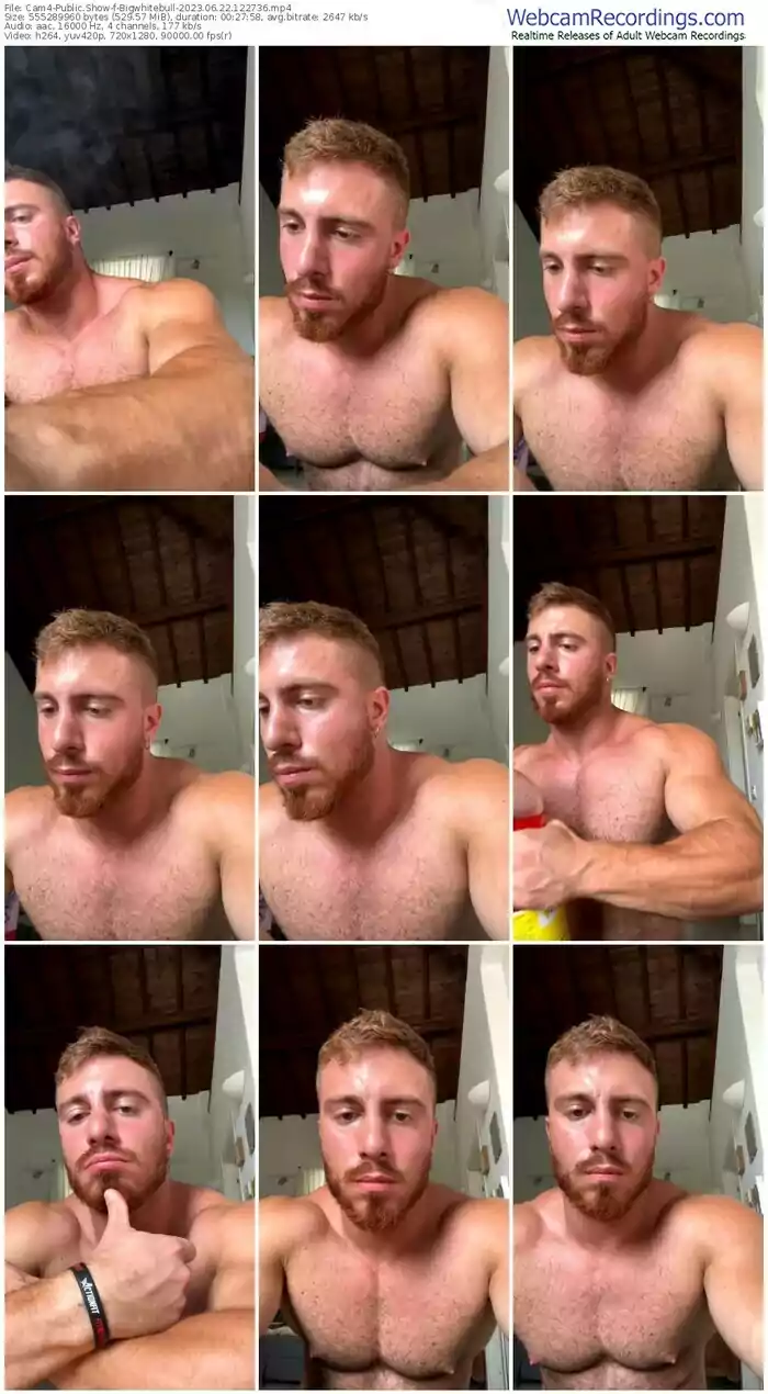 cam4-bigwhitebull-06-22-2023-12-27-36