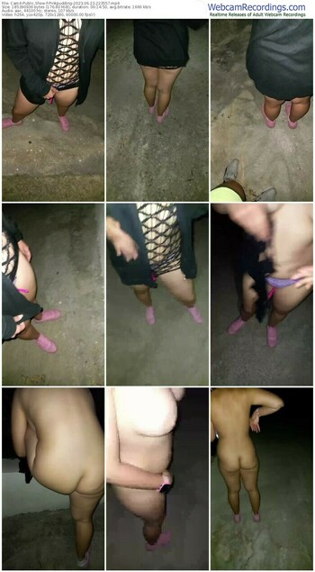 cam4-pinkpudding-06-23-2023-22-35-57