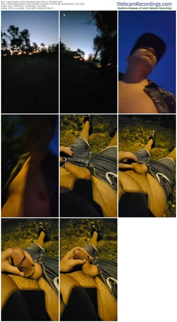 cam4-tronko3-06-23-2023-20-16-42