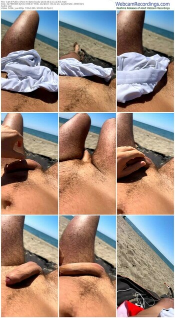 cam4-danicloud1-08-13-2023-11-13-53