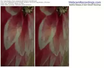 cam4-blupink-08-23-2023-23-15-49