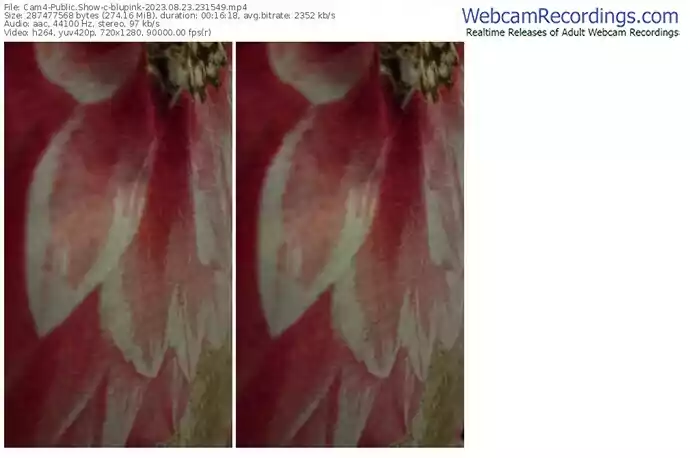 cam4-blupink-08-23-2023-23-15-49