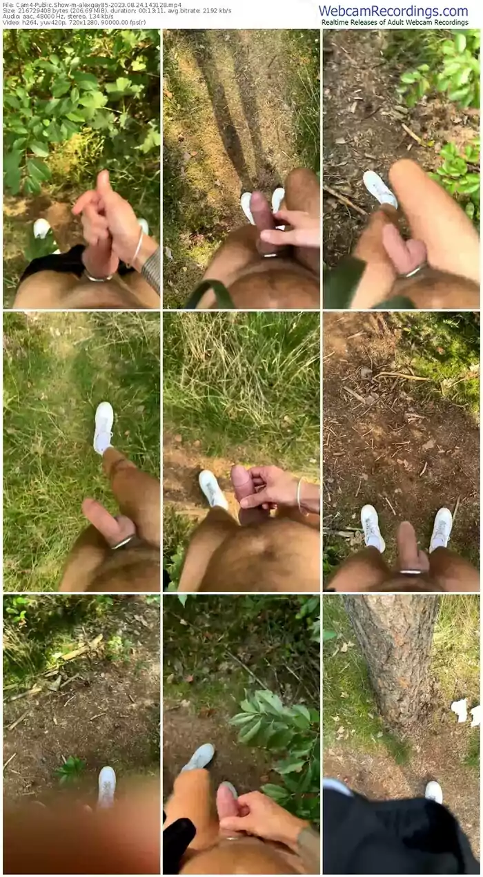 cam4-alexgay85-08-24-2023-14-31-28