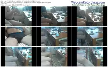 cam4-pollen_07-09-24-2023-13-11-17