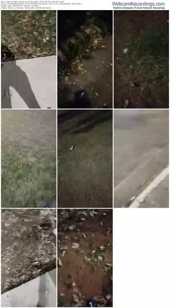 cam4-carlosal22-09-26-2023-04-14-27