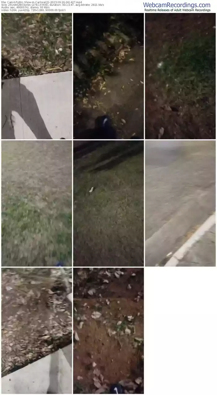 cam4-carlosal22-09-26-2023-04-14-27