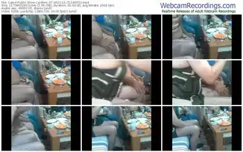 cam4-pollen_07-10-25-2023-18-00-52