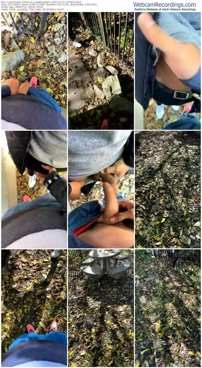 cam4-cubaecuador1-10-31-2023-14-48-22
