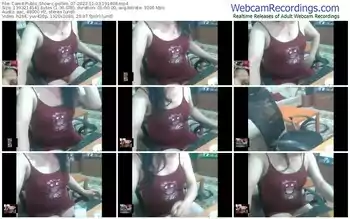 cam4-pollen_07-11-03-2023-19-14-06