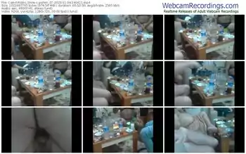 cam4-pollen_07-11-04-2023-19-04-11