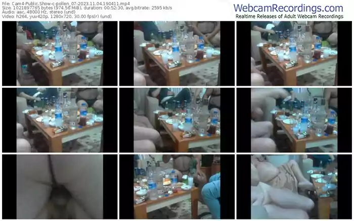 cam4-pollen_07-11-04-2023-19-04-11