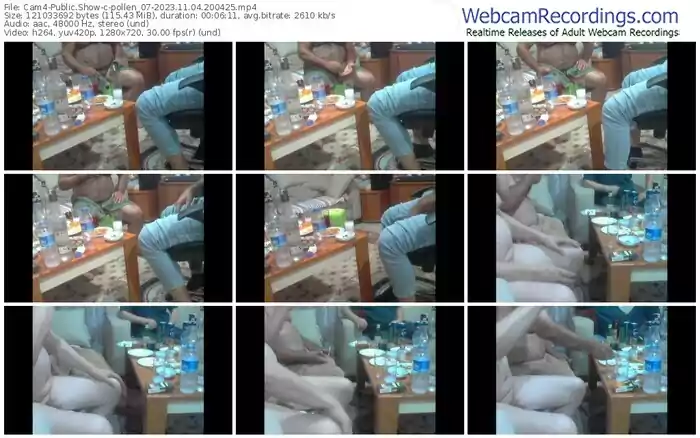 cam4-pollen_07-11-04-2023-20-04-25