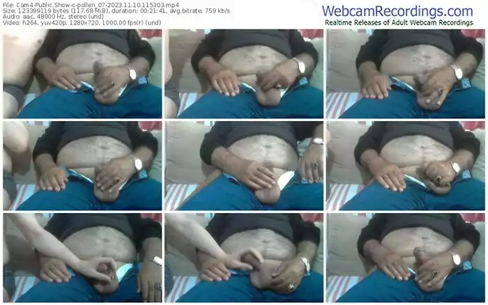 cam4-pollen_07-11-10-2023-11-53-03