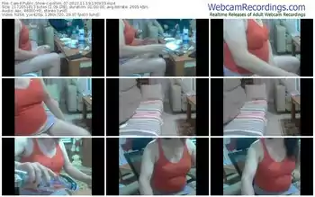 cam4-pollen_07-11-19-2023-19-09-33