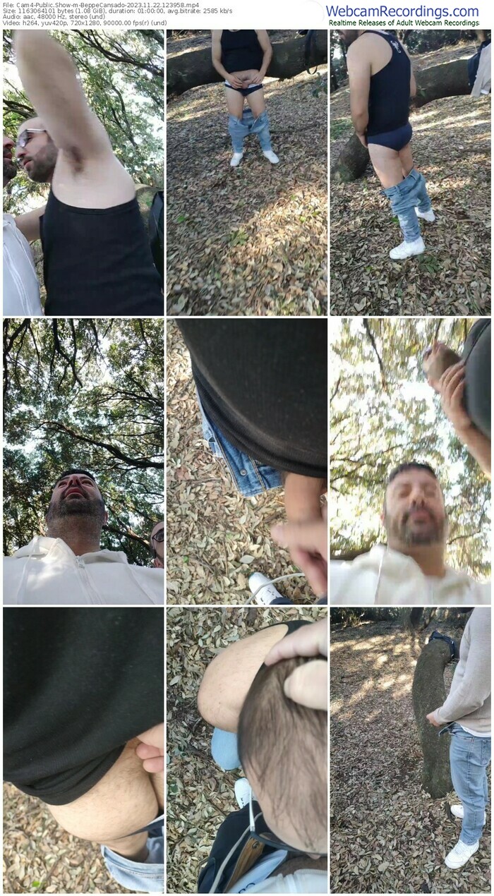 cam4-beppecansado-11-22-2023-12-39-58