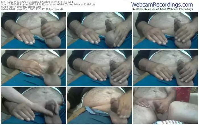 cam4-pollen_07-11-26-2023-11-11-56