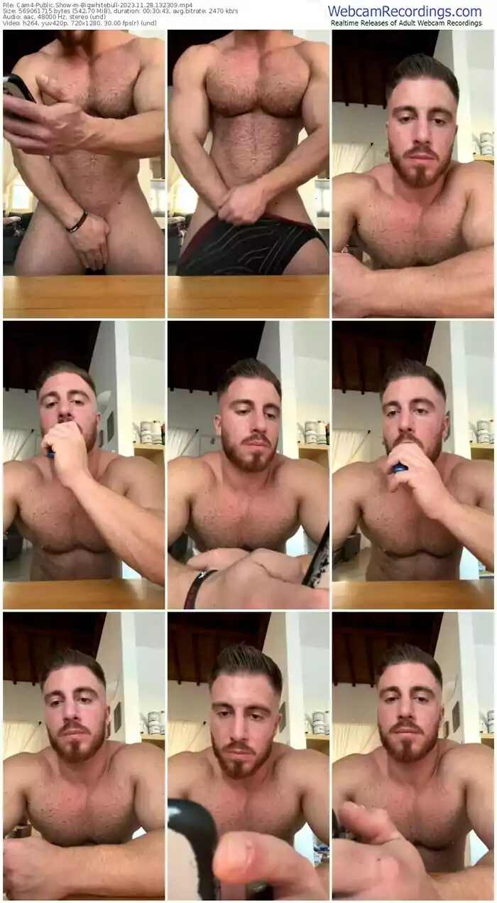 cam4-bigwhitebull-11-28-2023-13-23-09