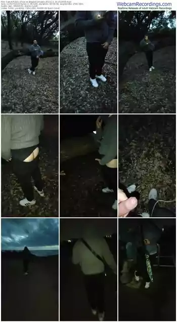 cam4-beppecansado-11-30-2023-15-26-38