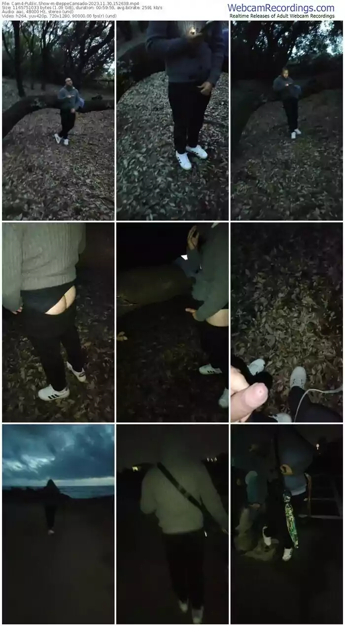 cam4-beppecansado-11-30-2023-15-26-38