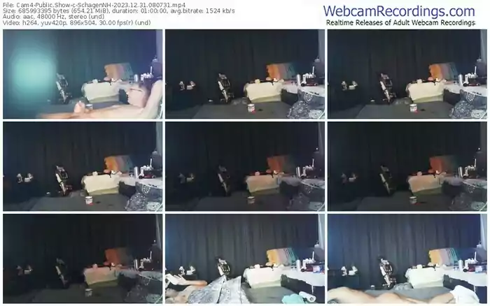 cam4-schagennh-12-31-2023-08-07-31