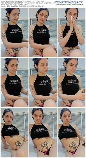 cam4-tets2-01-03-2024-12-16-40