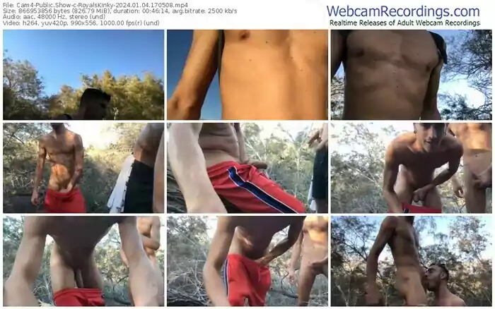 cam4-royalskinky-01-04-2024-17-05-08