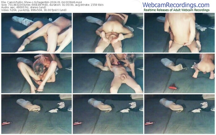 cam4-schagennh-01-04-2024-00-39-46