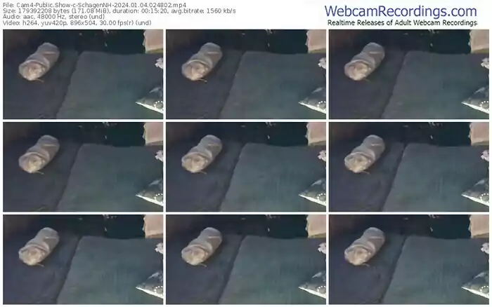 cam4-schagennh-01-04-2024-02-48-02