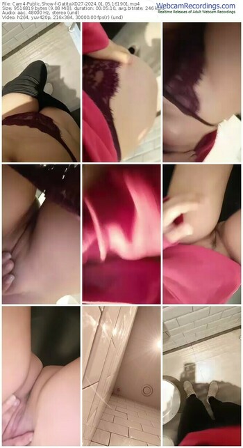 cam4-gatitaxd27-01-05-2024-16-19-01
