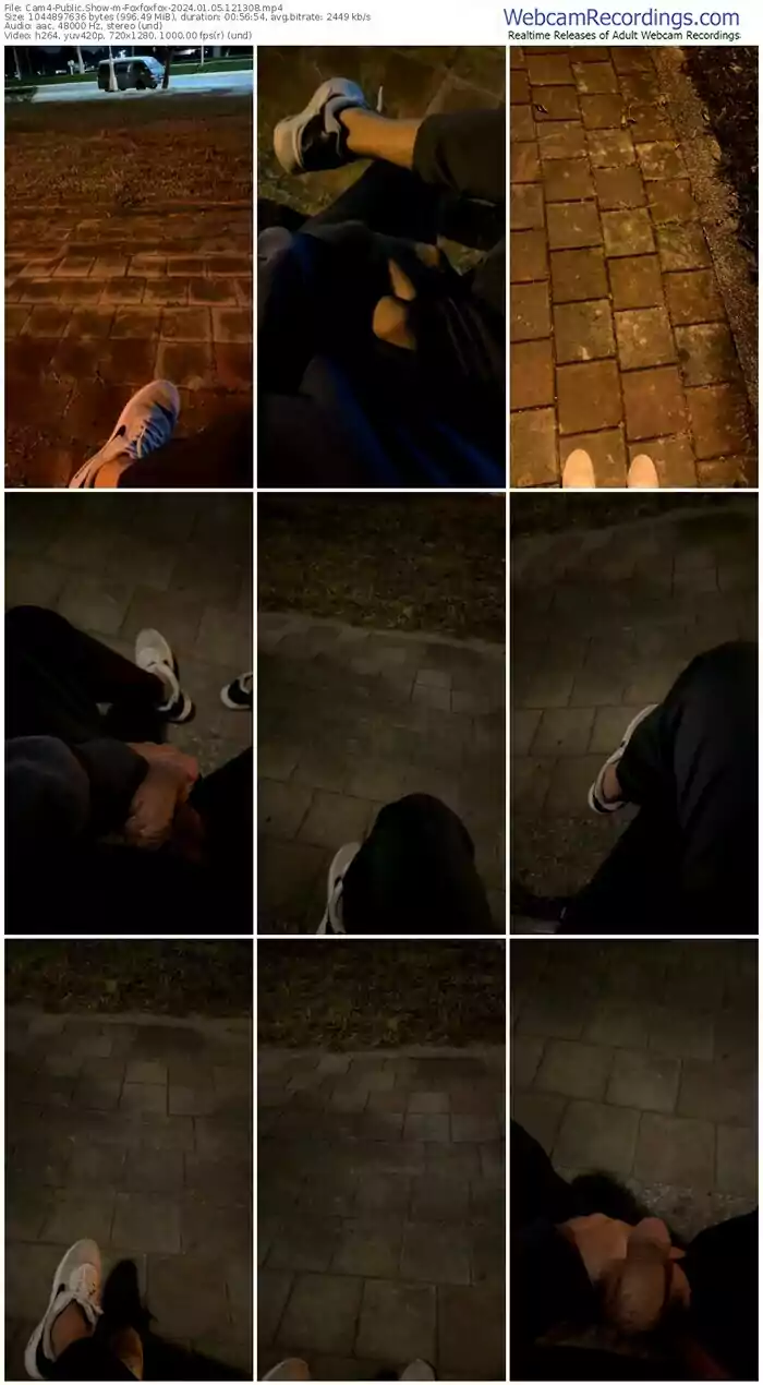cam4-foxfoxfox-01-05-2024-12-13-08