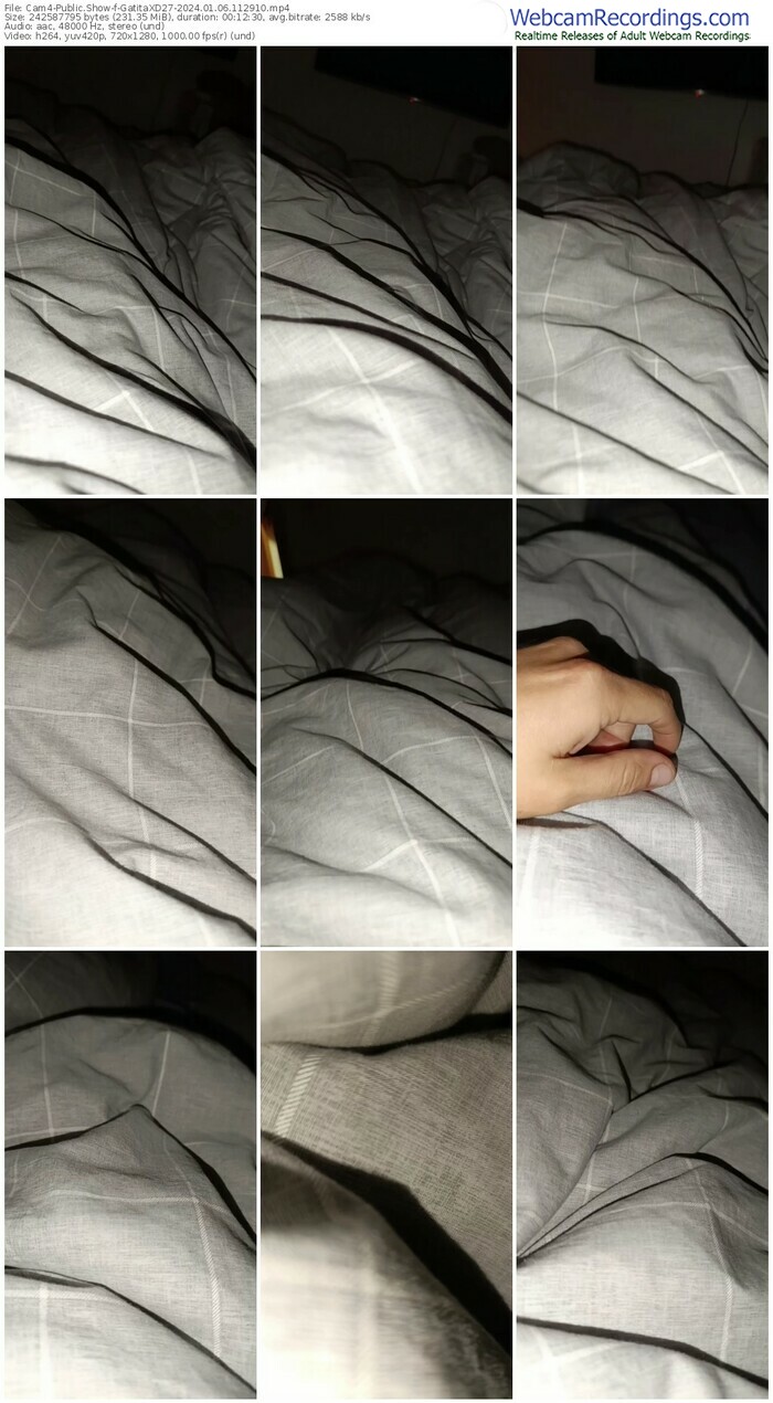 cam4-gatitaxd27-01-06-2024-11-29-10