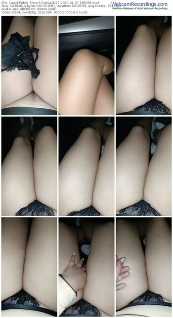 cam4-gatitaxd27-01-07-2024-18-50-56