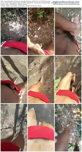 cam4-recoblue22cm-01-10-2024-19-02-19