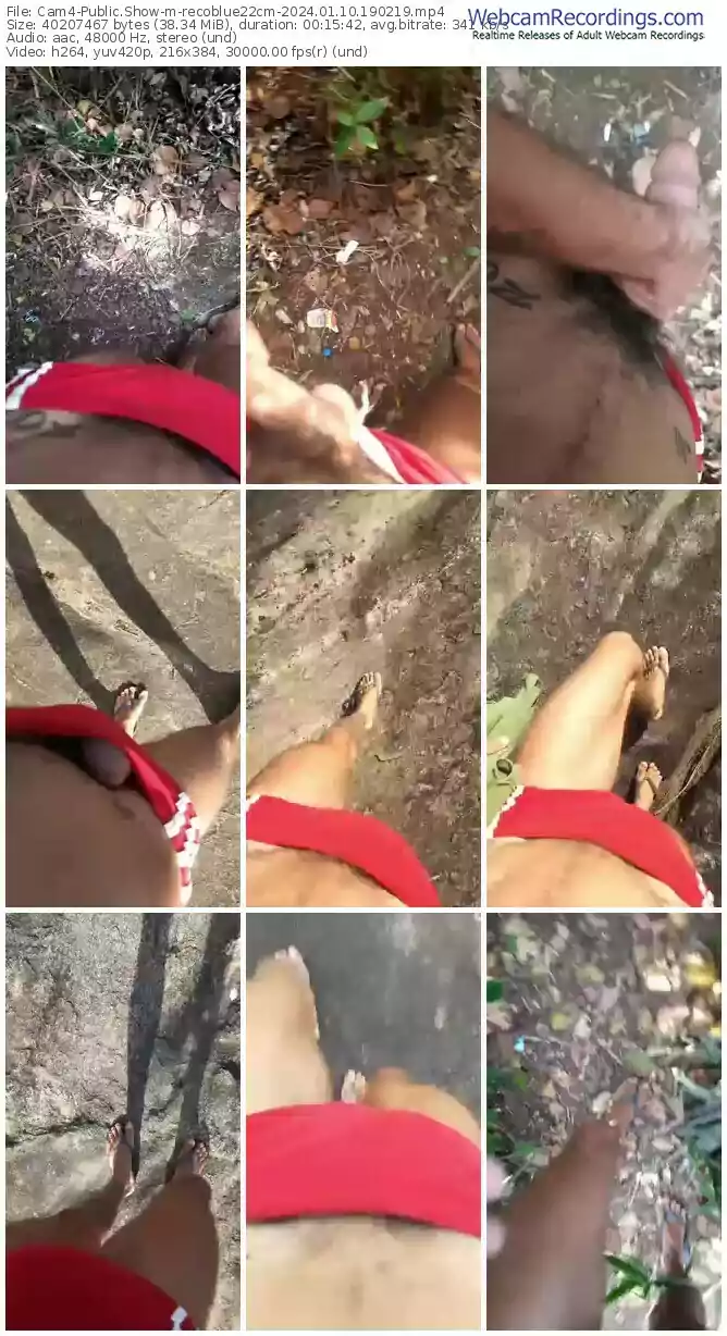 cam4-recoblue22cm-01-10-2024-19-02-19