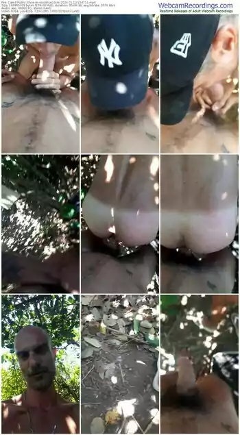 cam4-recoblue22cm-01-12-2024-15-47-11