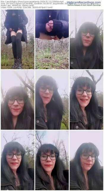 cam4-princessekandy-01-13-2024-13-39-54