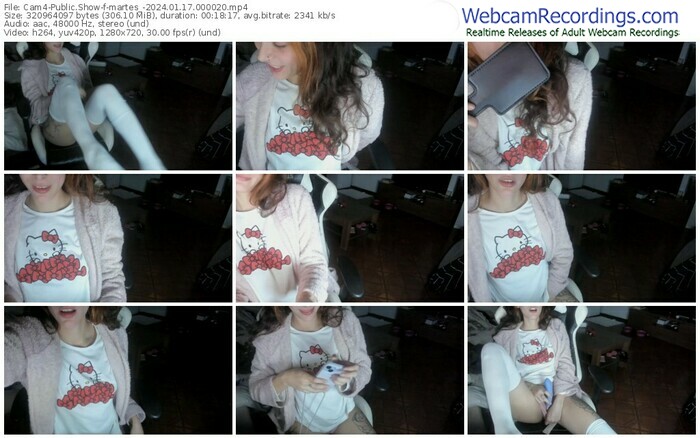 cam4-martes_-01-17-2024-00-00-20