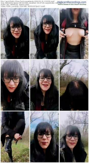 cam4-princessekandy-01-21-2024-11-02-20