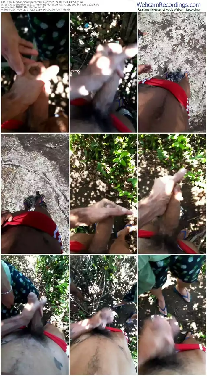 cam4-recoblue22cm-01-22-2024-14-32-51