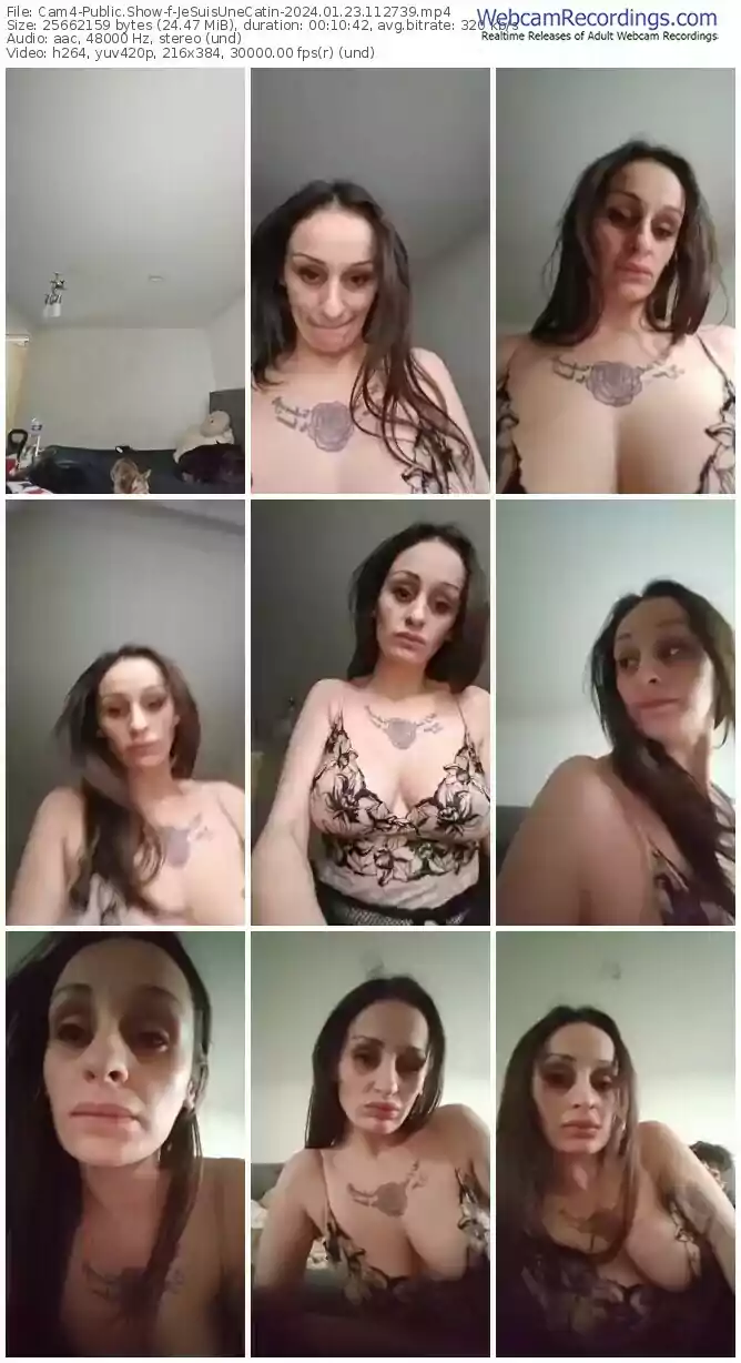 cam4-jesuisunecatin-01-23-2024-11-27-39