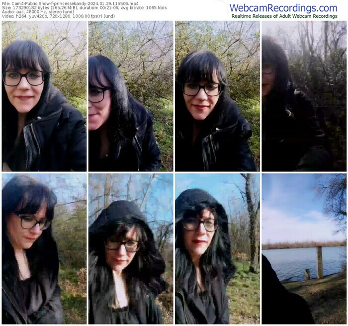 cam4-princessekandy-01-29-2024-11-55-06