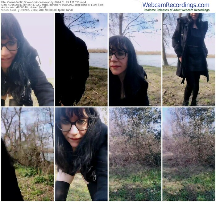 cam4-princessekandy-01-29-2024-12-16-56