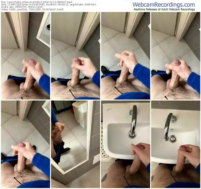 cam4-wildm3-02-12-2024-08-06-47