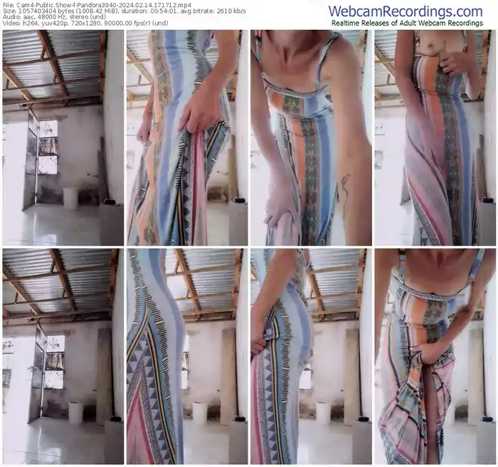 cam4-pandora3940-02-14-2024-17-17-12