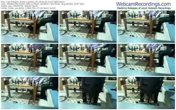 cam4-pollen_07-02-19-2024-21-34-05