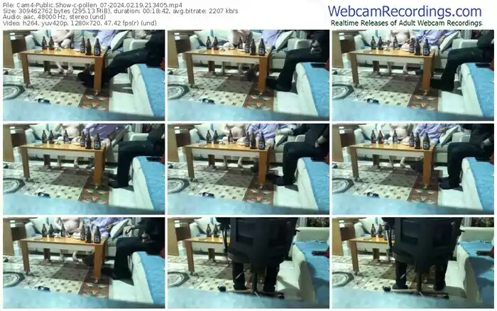 cam4-pollen_07-02-19-2024-21-34-05