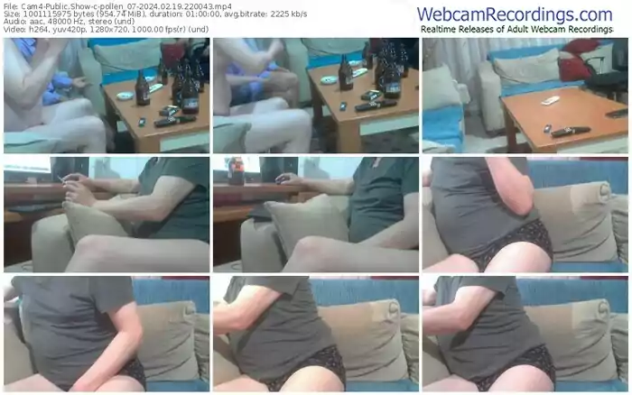 cam4-pollen_07-02-19-2024-22-00-43