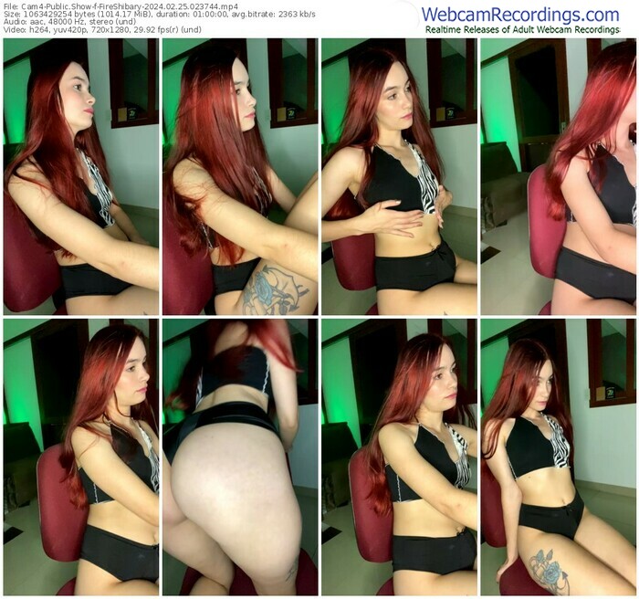 cam4-fireshibary-02-25-2024-02-37-44